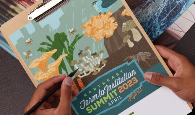 #F2iSummit Report