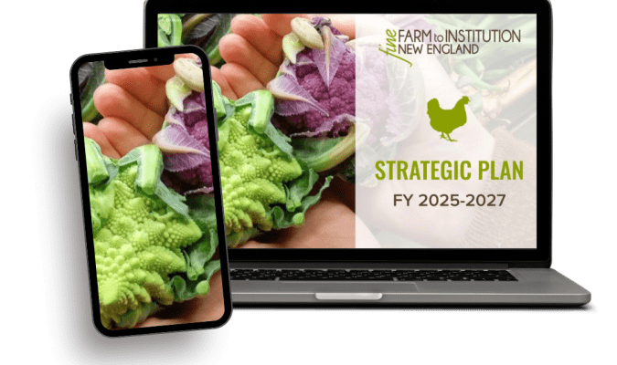 FINE Strategic Plan 2025-2027